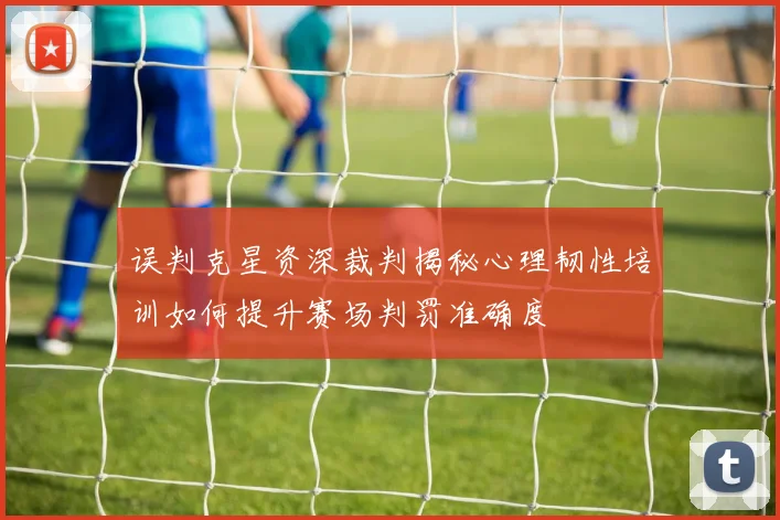 误判克星资深裁判揭秘心理韧性培训如何提升赛场判罚准确度