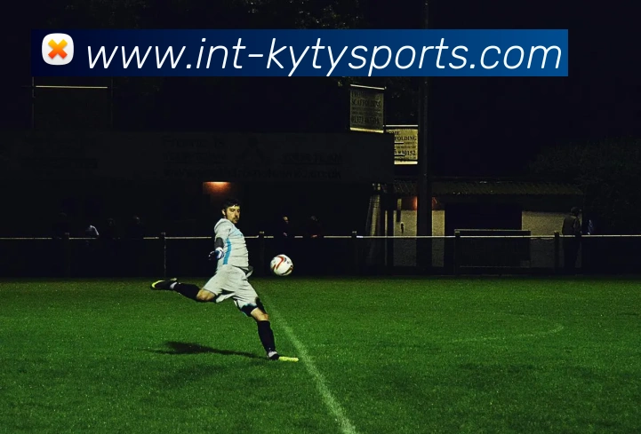 开云体育APP 封面图